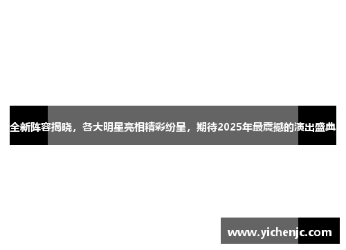 全新阵容揭晓，各大明星亮相精彩纷呈，期待2025年最震撼的演出盛典