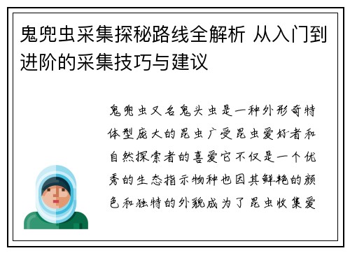 鬼兜虫采集探秘路线全解析 从入门到进阶的采集技巧与建议